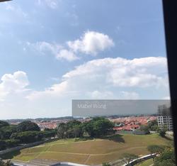 The Tanamera (D16), Condominium #145410262